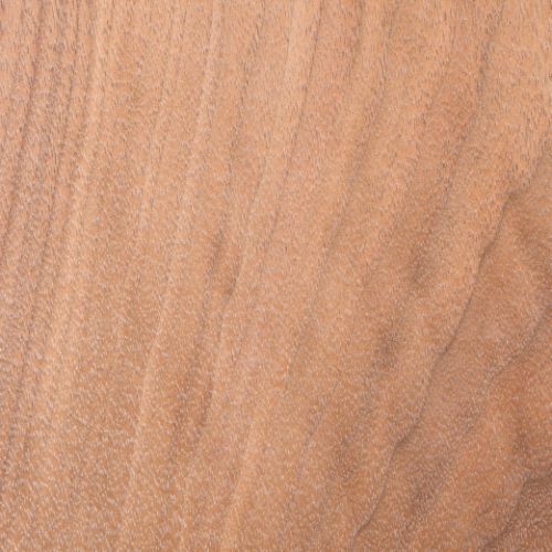 BM Prime 6 - Nussbaum